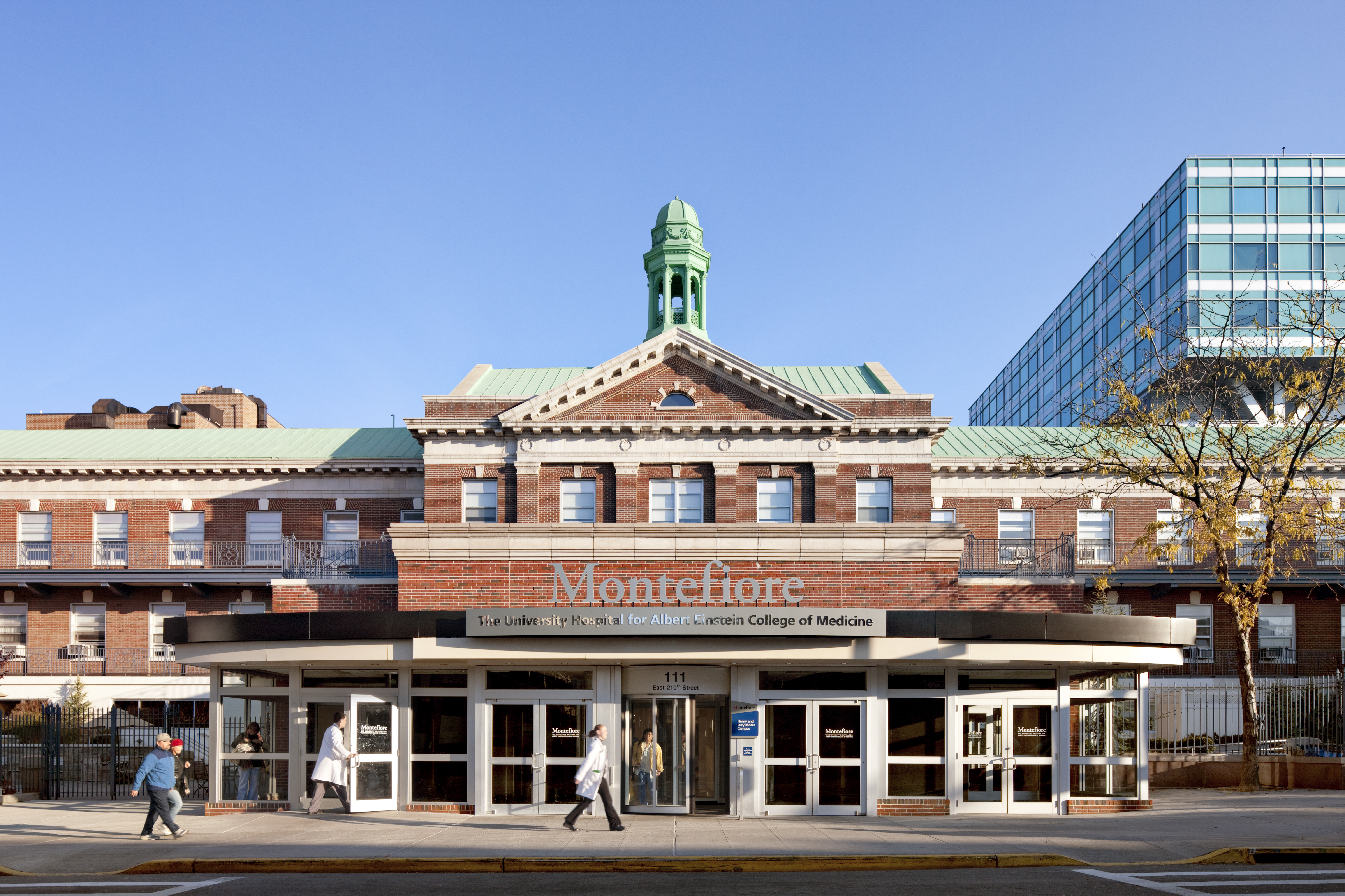 Montefiore Building - Moses