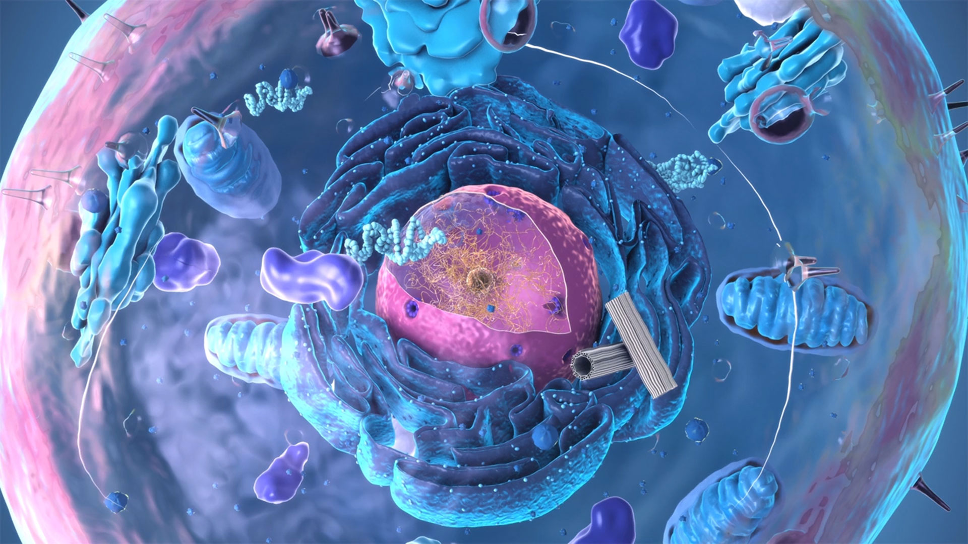molecular-pharmacology-hero