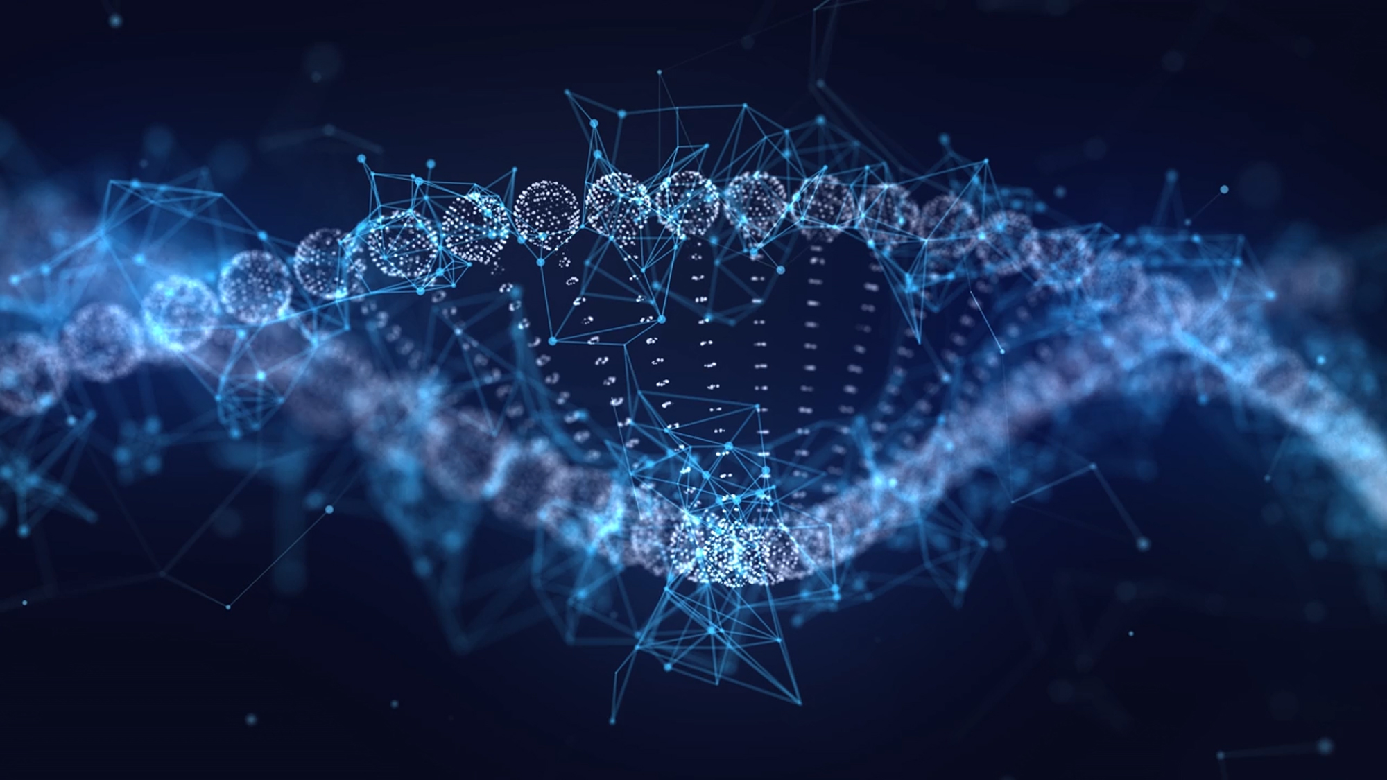 imgpsh_fullsize_anim