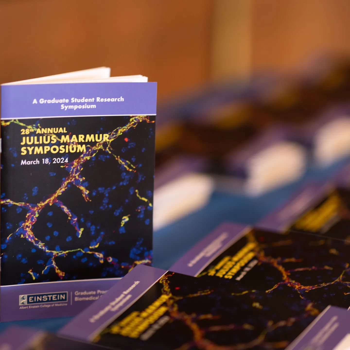 Print and Digital Design