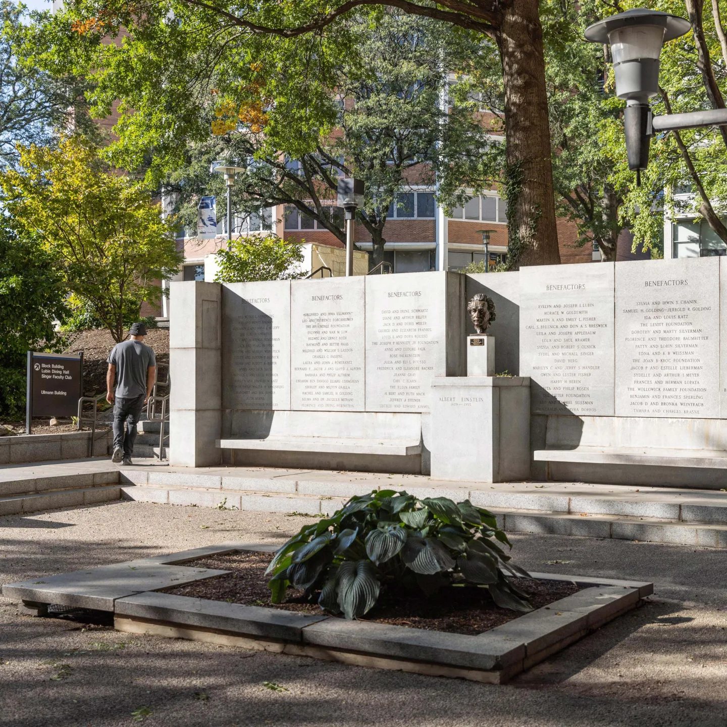 campus-einstein-statue