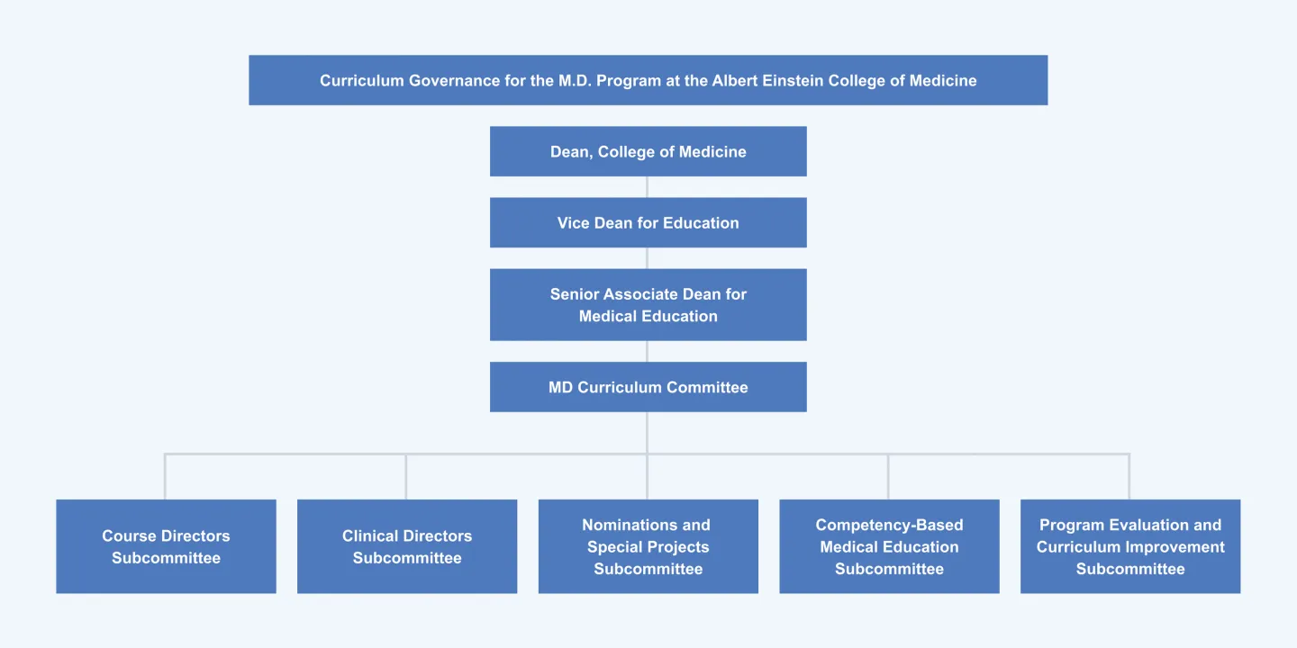 md-curriculum-committee-org-chart-diagram