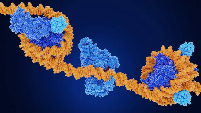 chromatin-and-transcription-regulation