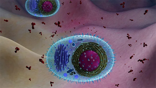 glycobiology-intracellular-trafficking