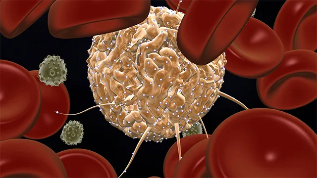 stem-cell-dev