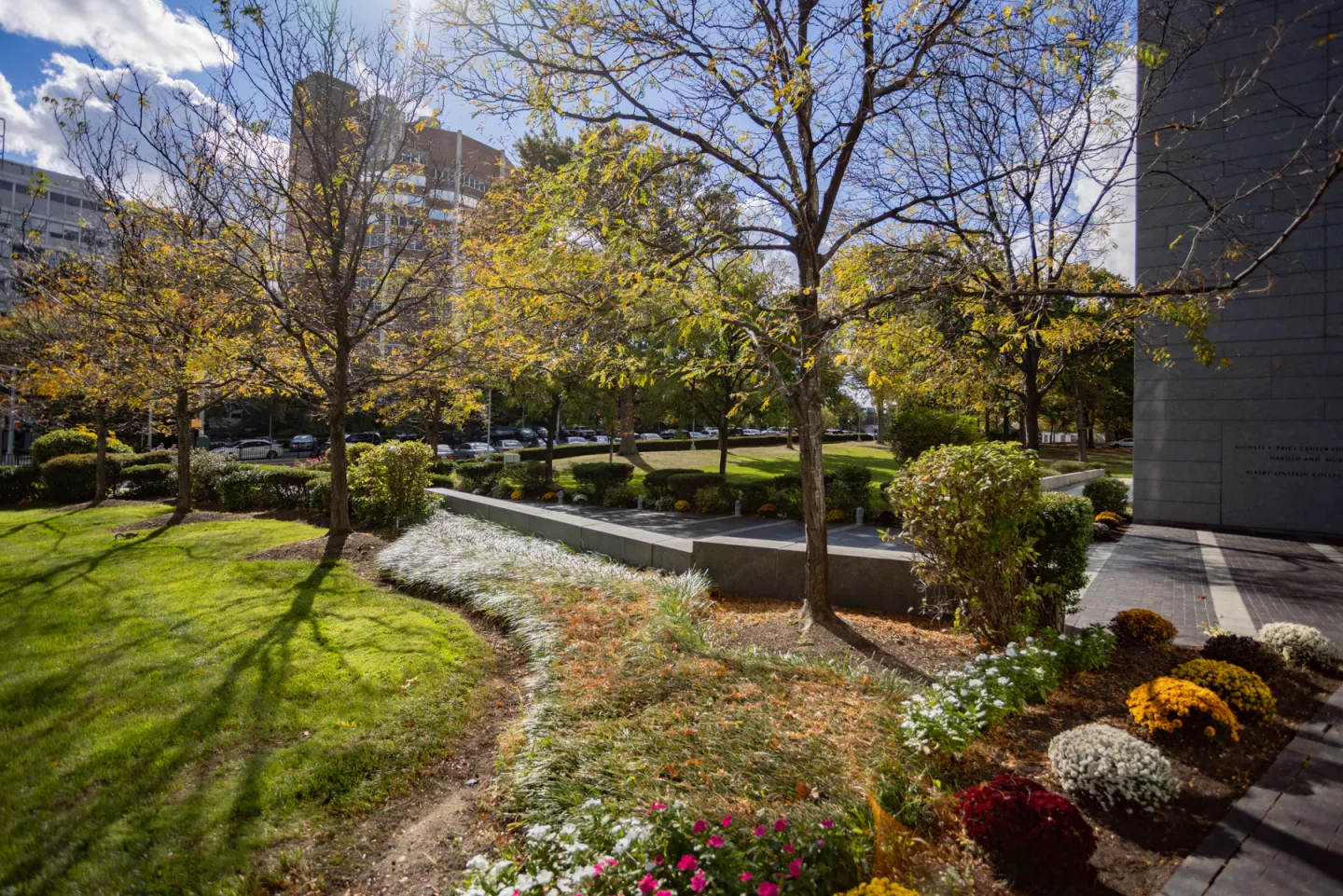 einstein-campus-life-2024-10-15-la-108