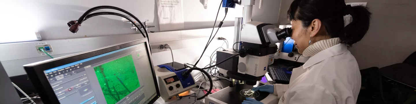 Shared Facilities Banner-Histology and Comparative Pathology