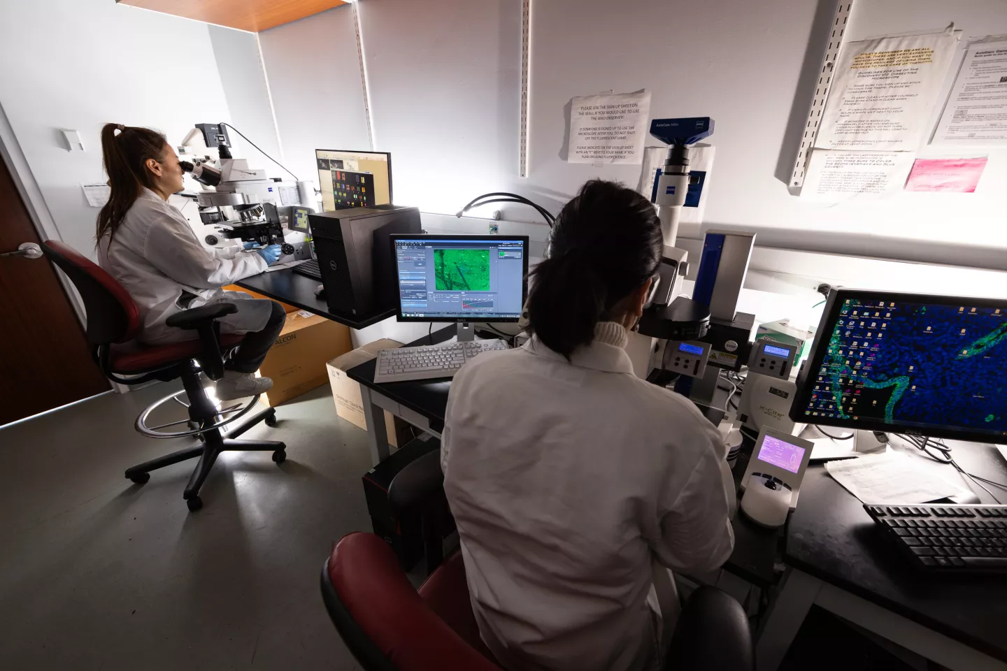 Shared Facilities Banner-Macromolecular Cytogenics Core