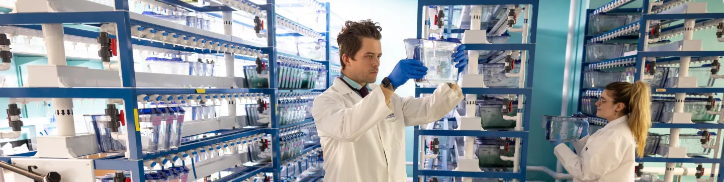 Shared Facilities Banner-Zebrafish