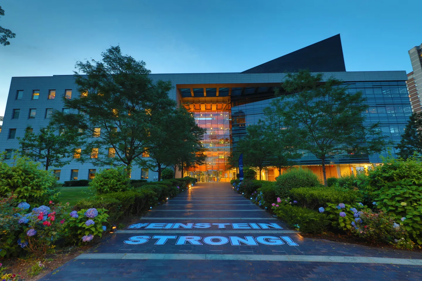 advanced-study-in-life-sciences