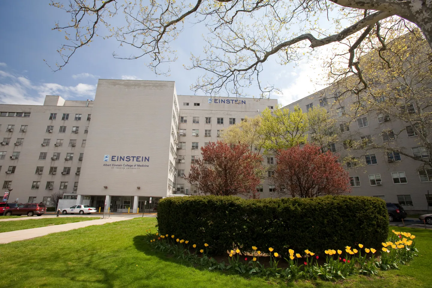 animal-care-use-committee