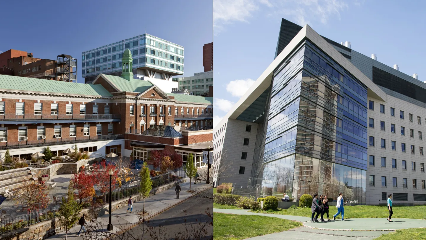 diabetes-translational-research