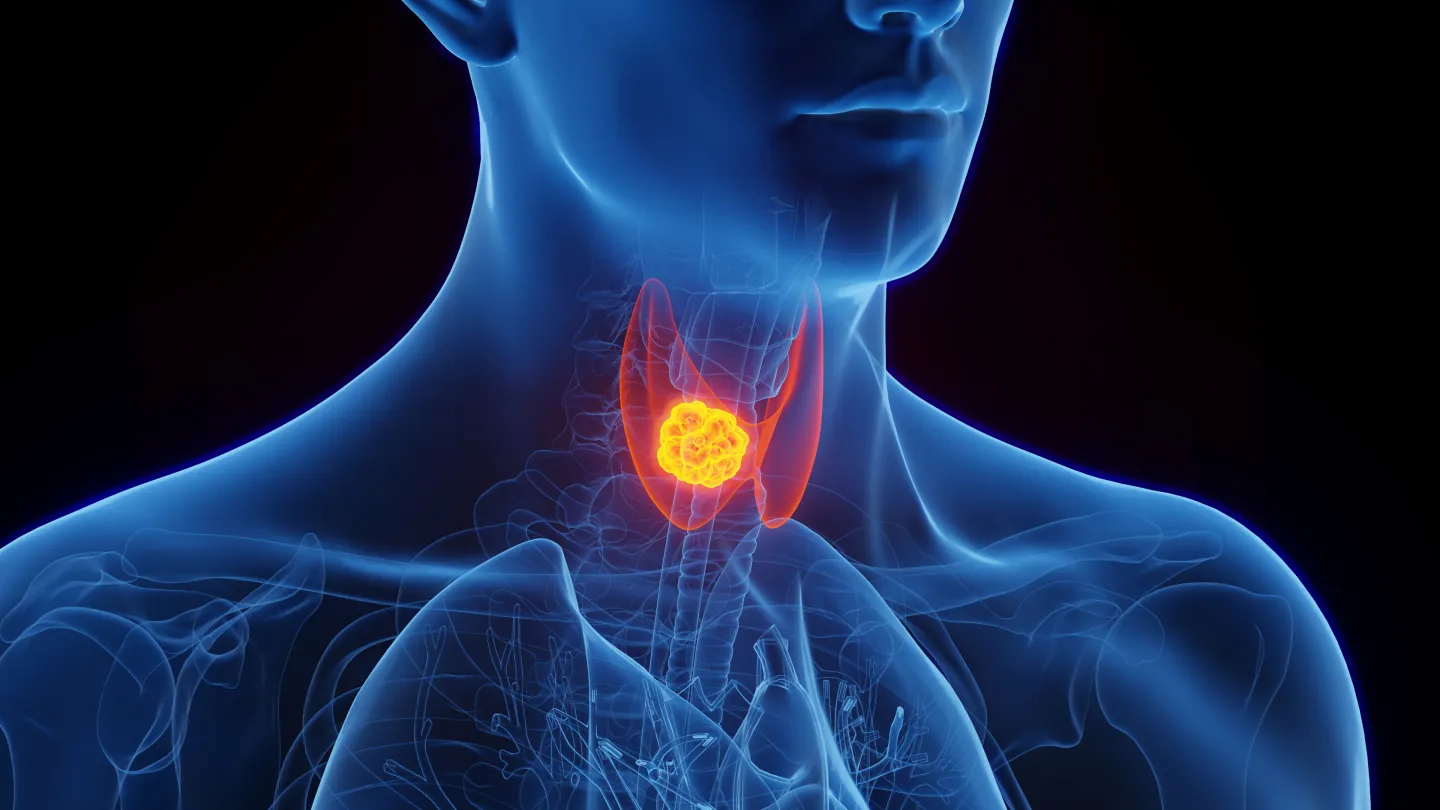endocrinology-and-diabetes