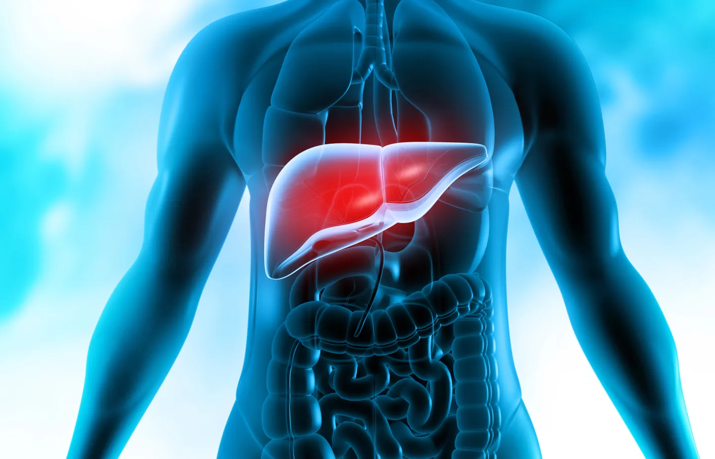 hepatology