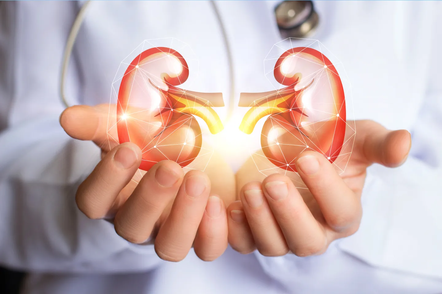 nephrology