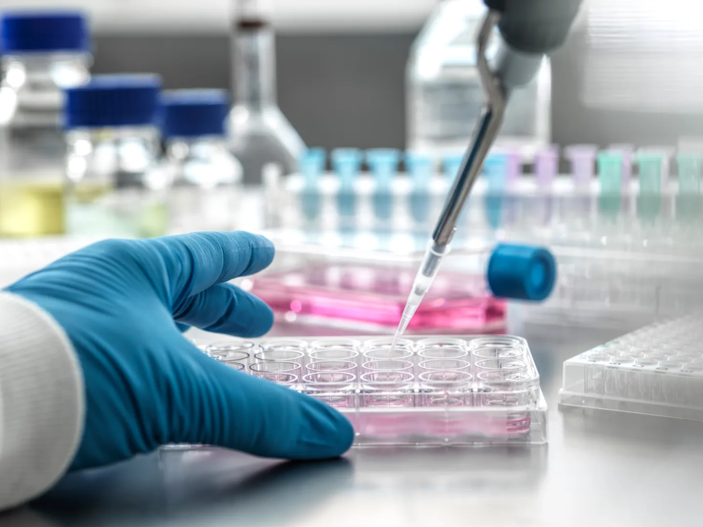stem-cell