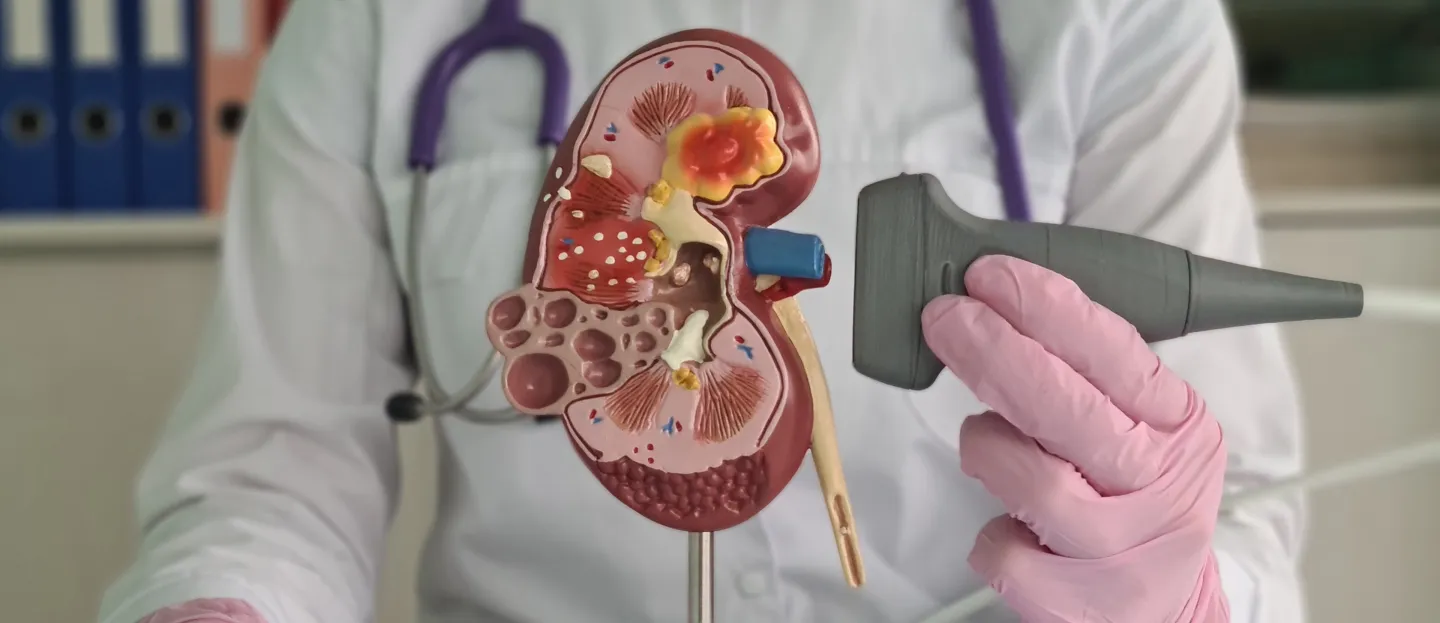 urology