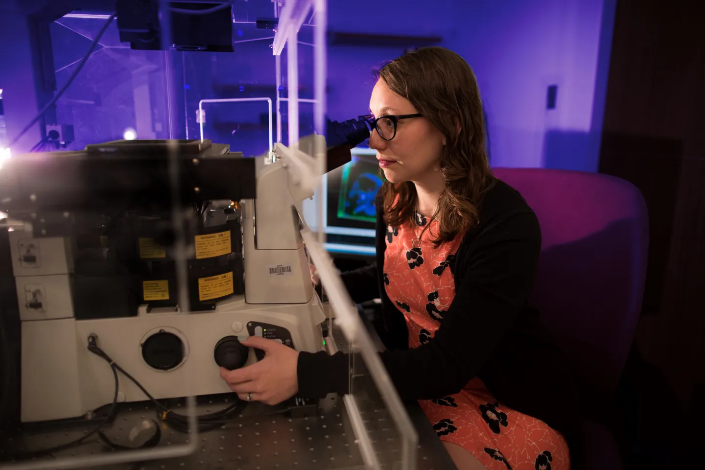 Guzik Hillary Portraits