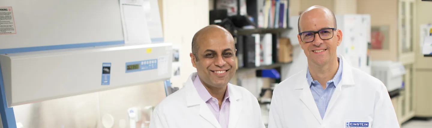 About Cell Biology Banner