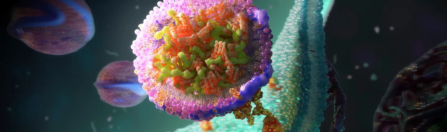 Department of Cell Biology