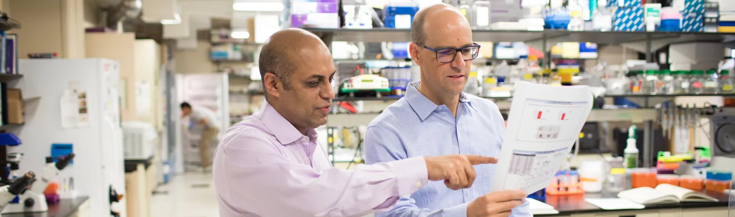 Cell Biology Highlights