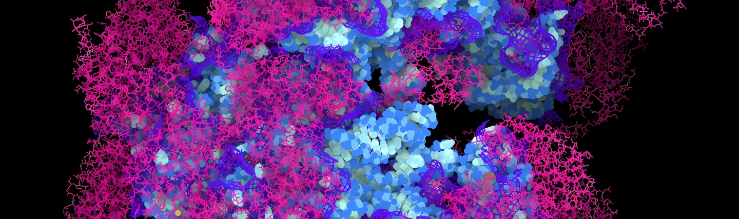 Institute for Geroscience