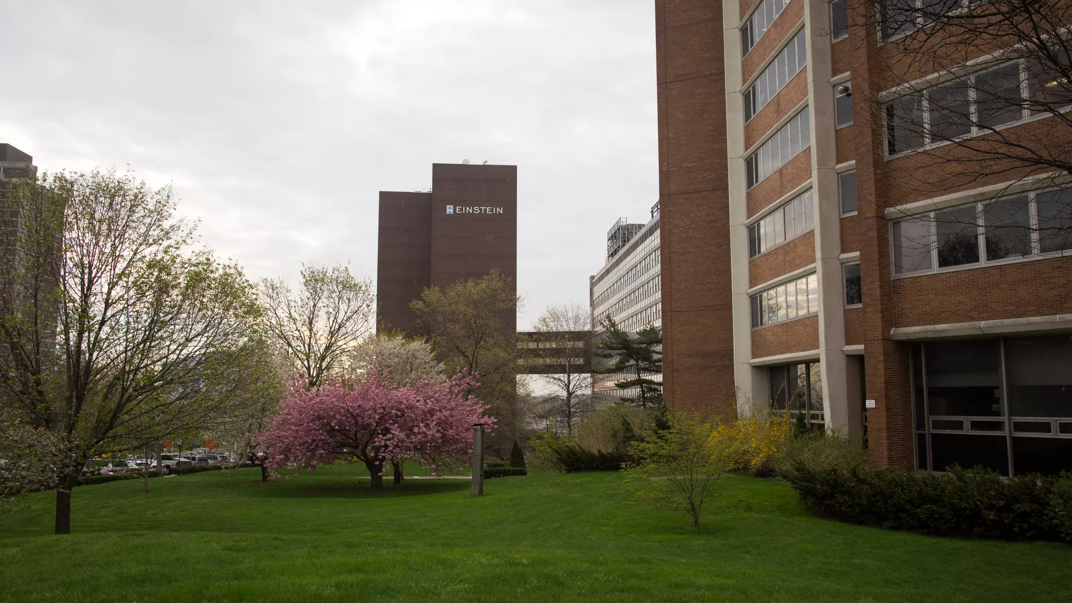 Einstein Campus