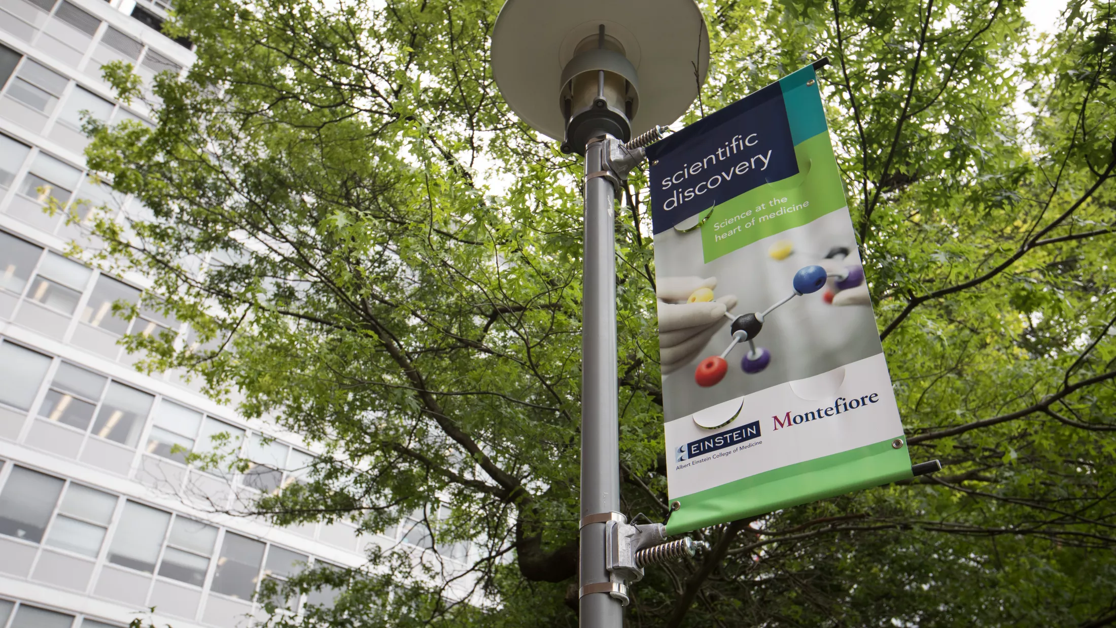 Scientific Discovery Sign