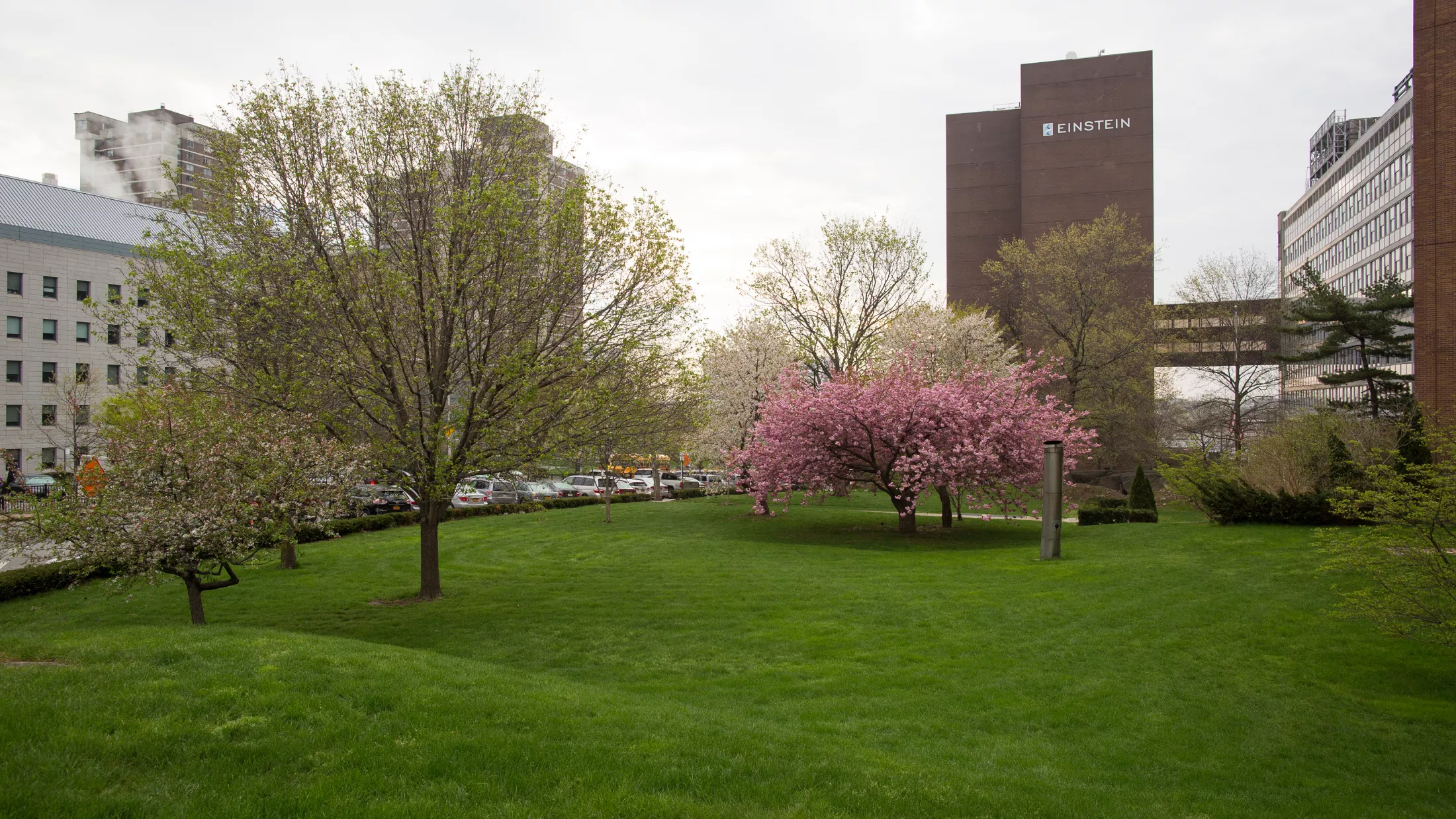 Belfer Building and Front Lawn
