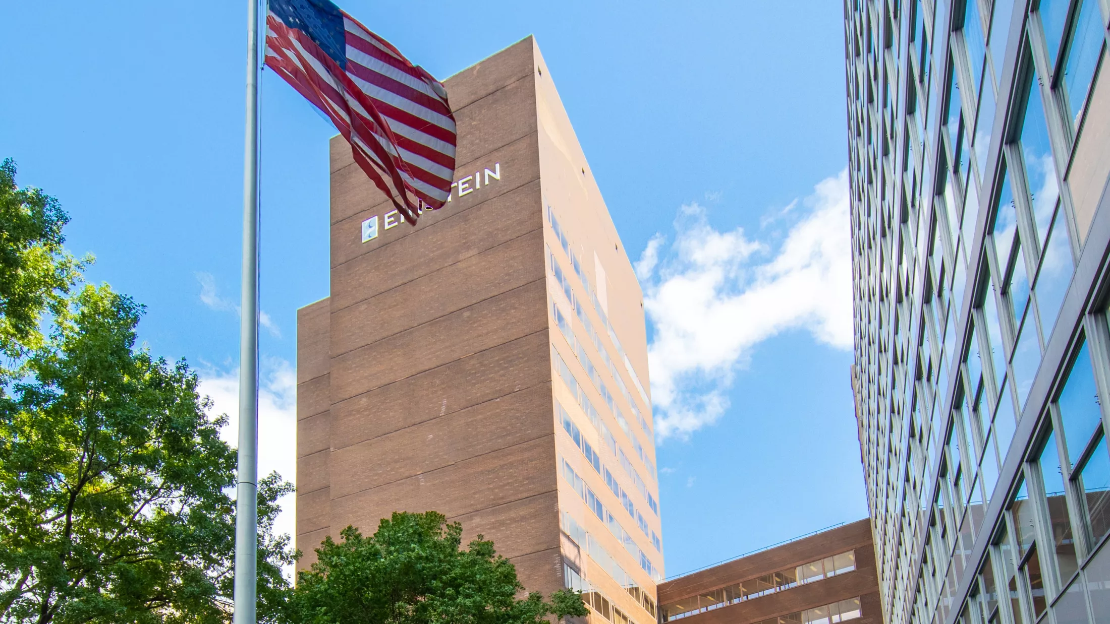 Belfer and Forchheimer Buildings