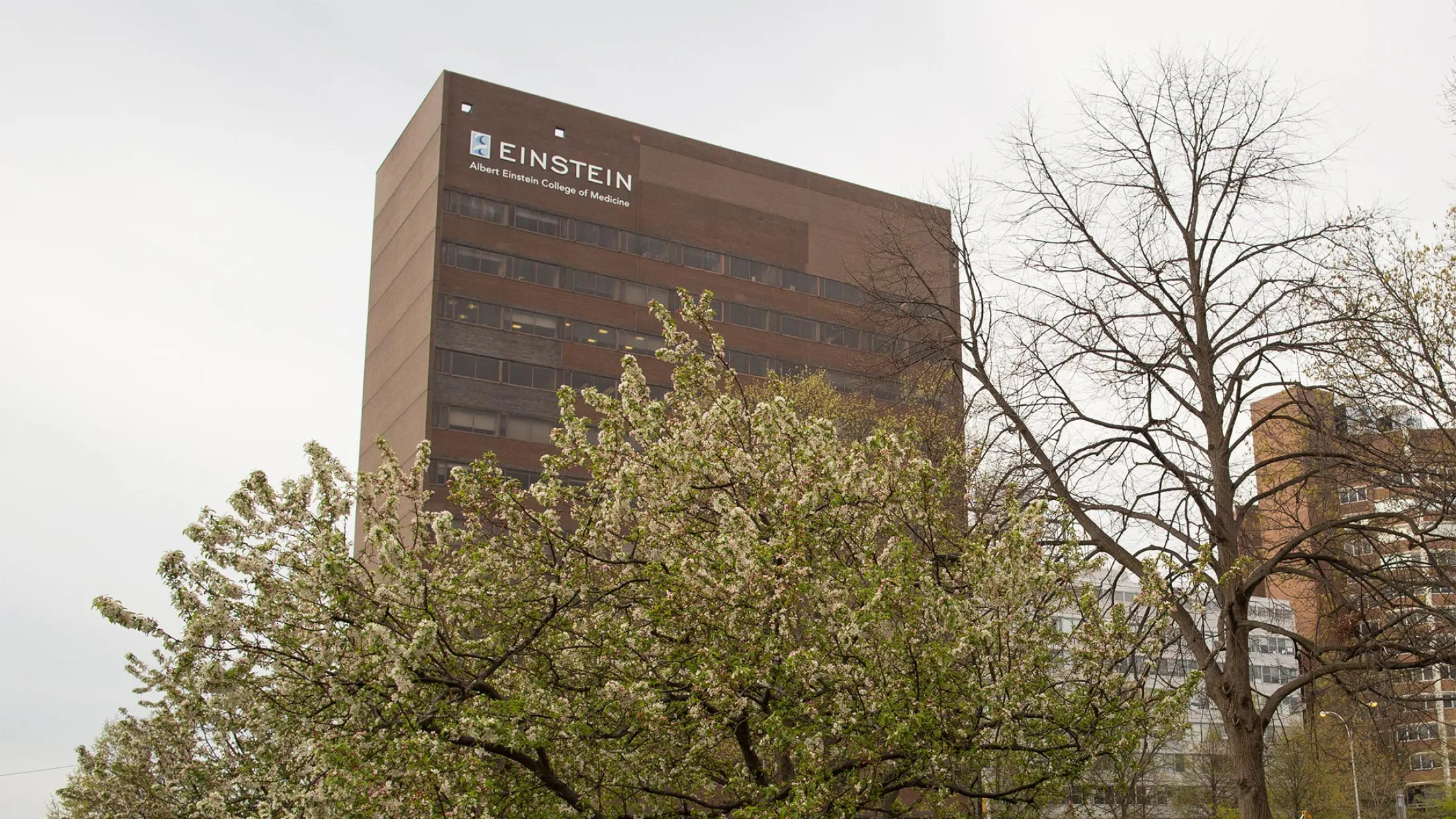 Belfer Building