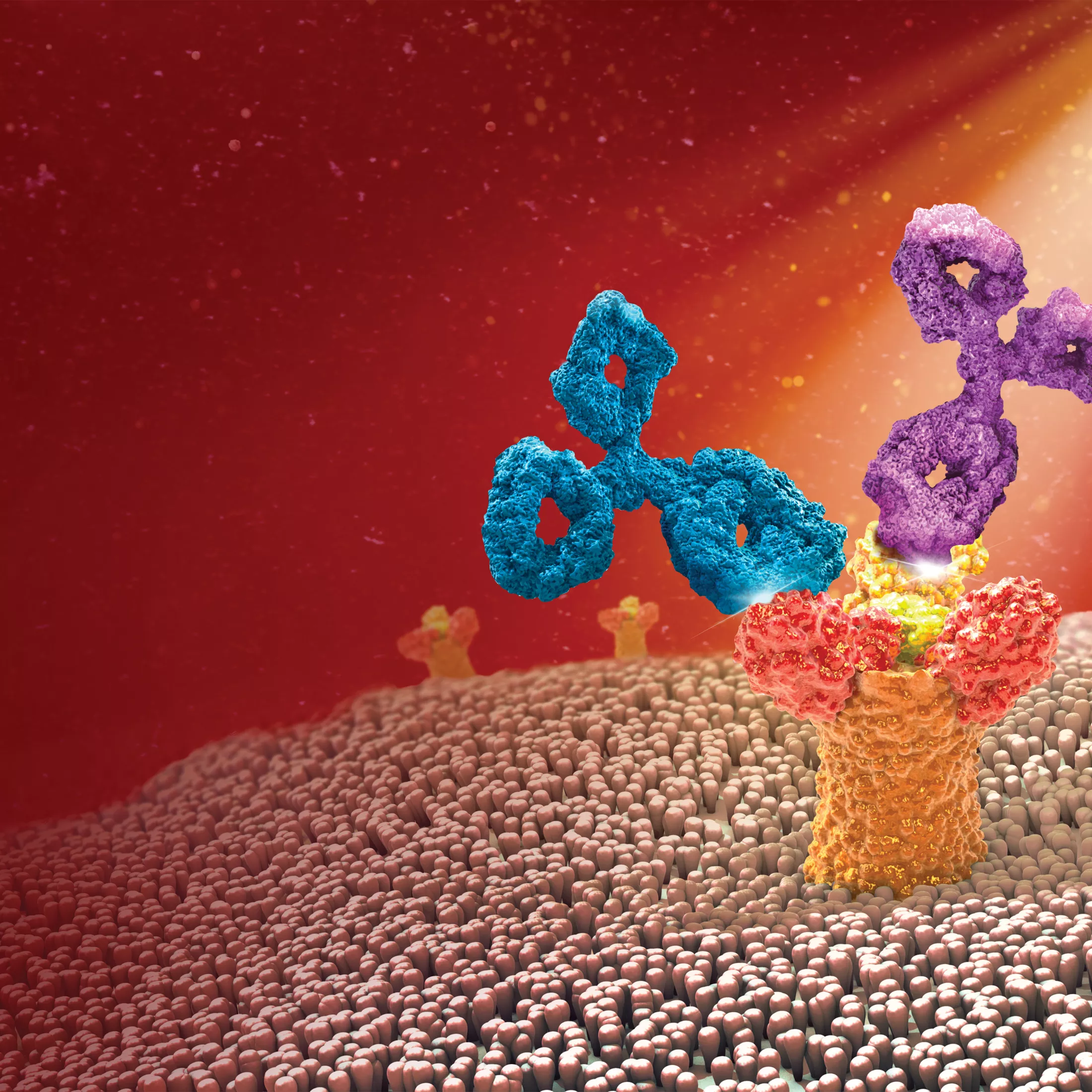 Ebola 5 Elements FINAL more Light