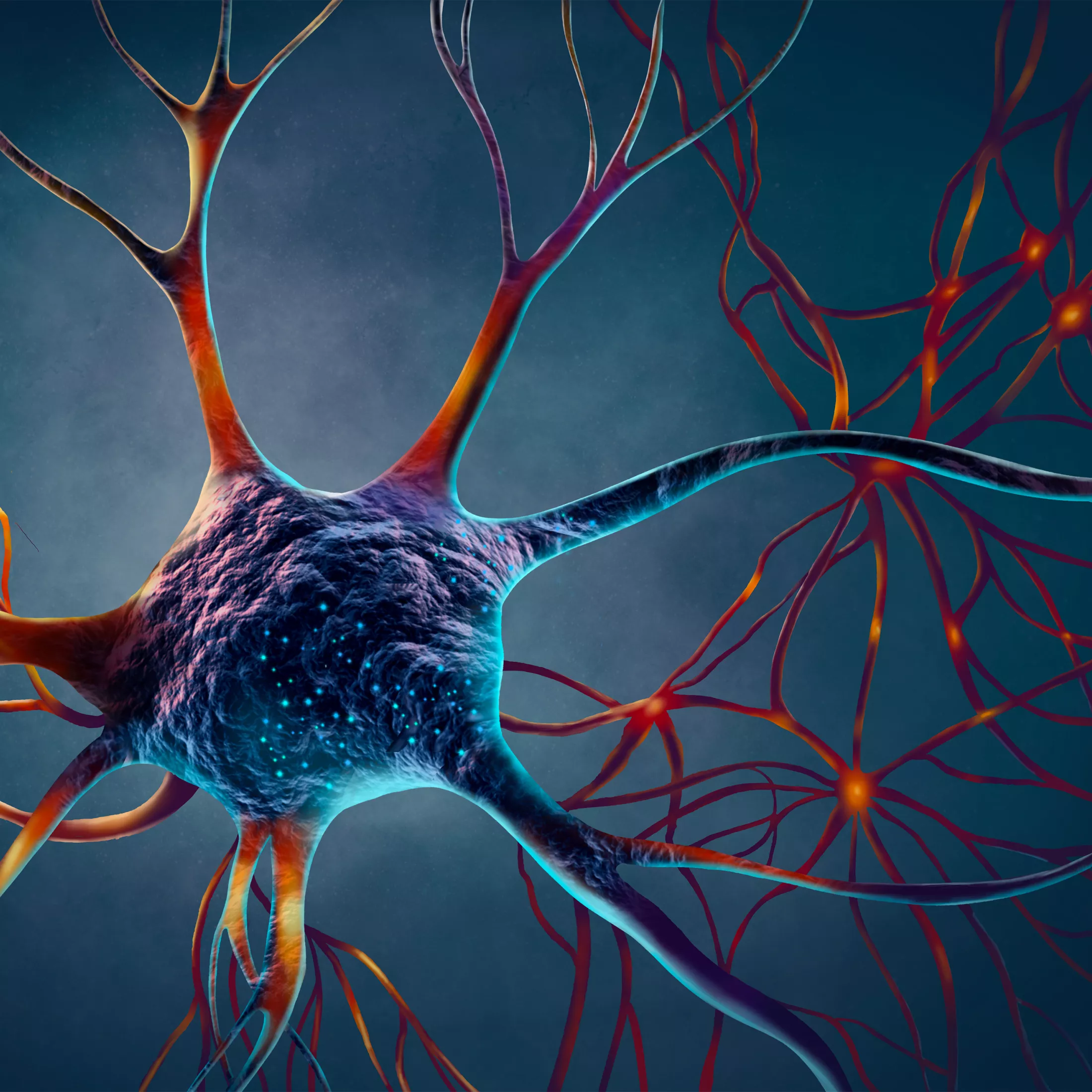 Final_neuron