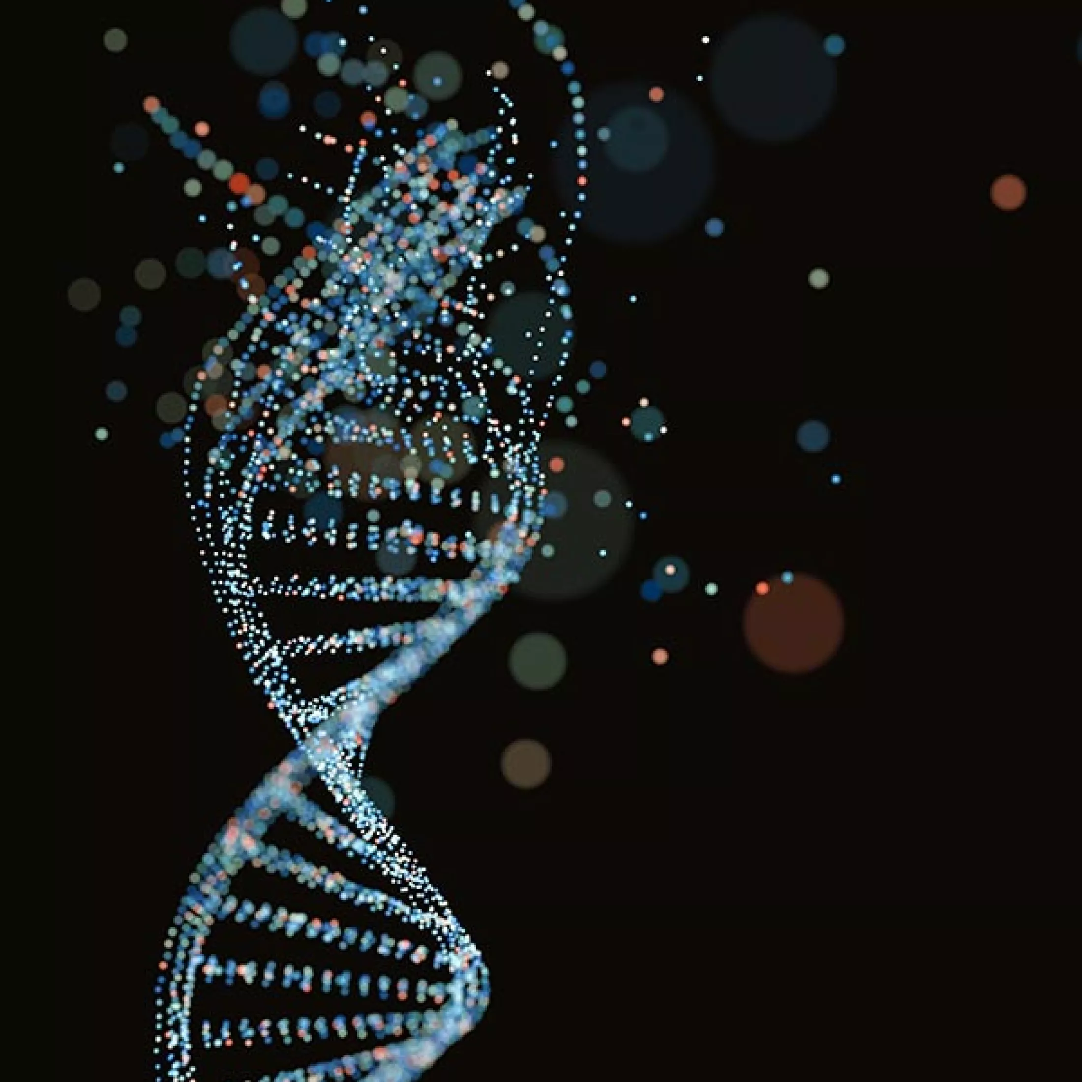 dna-structure