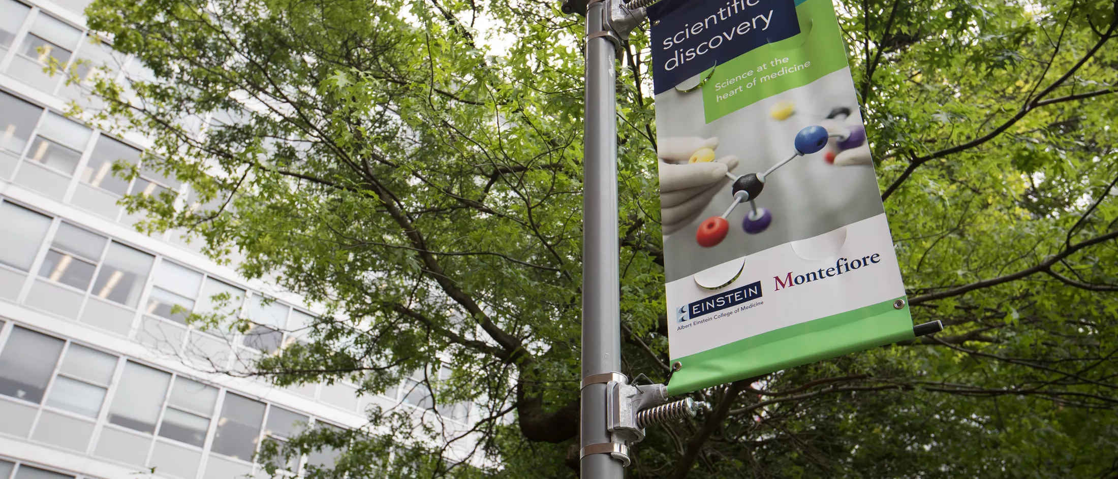 Campus Sign on Pole