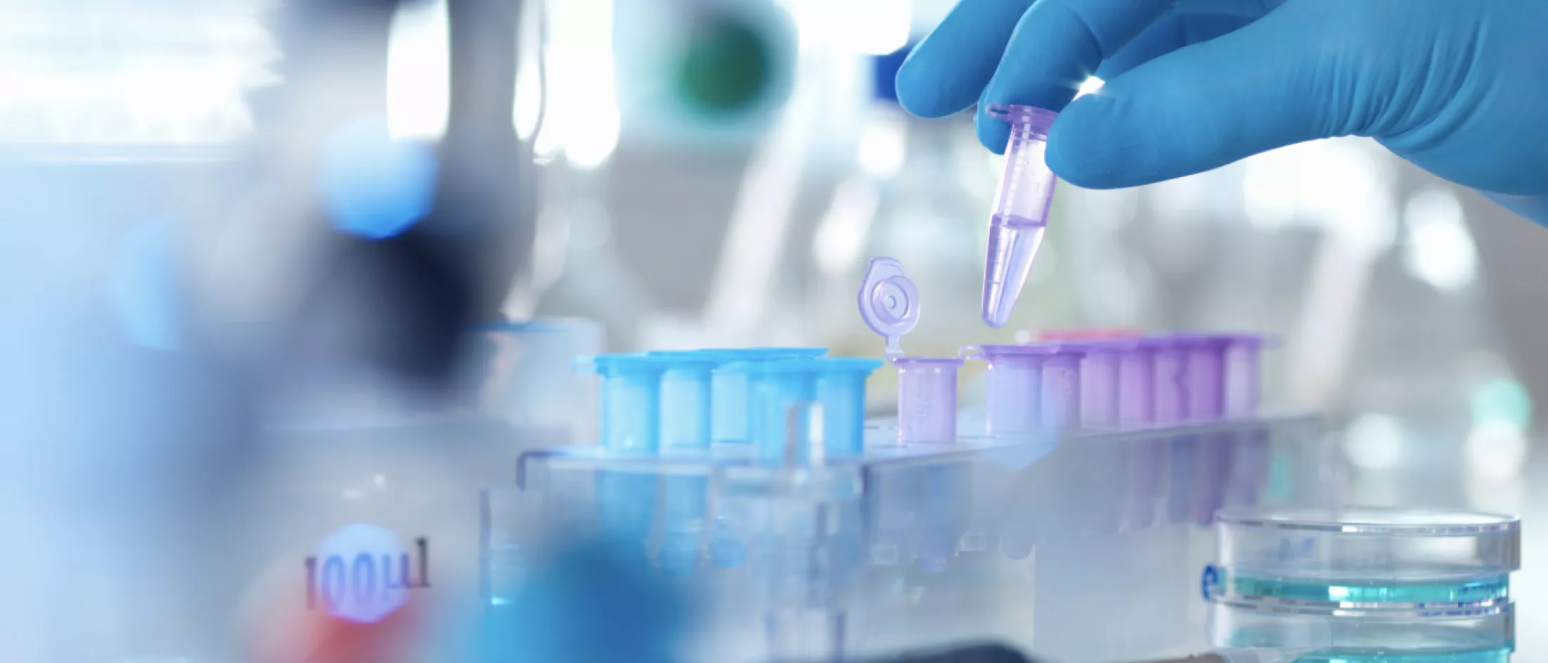 Einstein-CUNY MD MPH