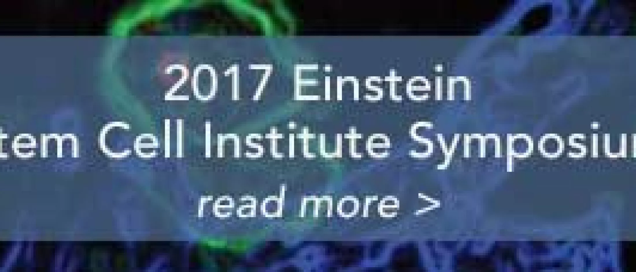 2017 Einstien Stem Cell Institure Symposium