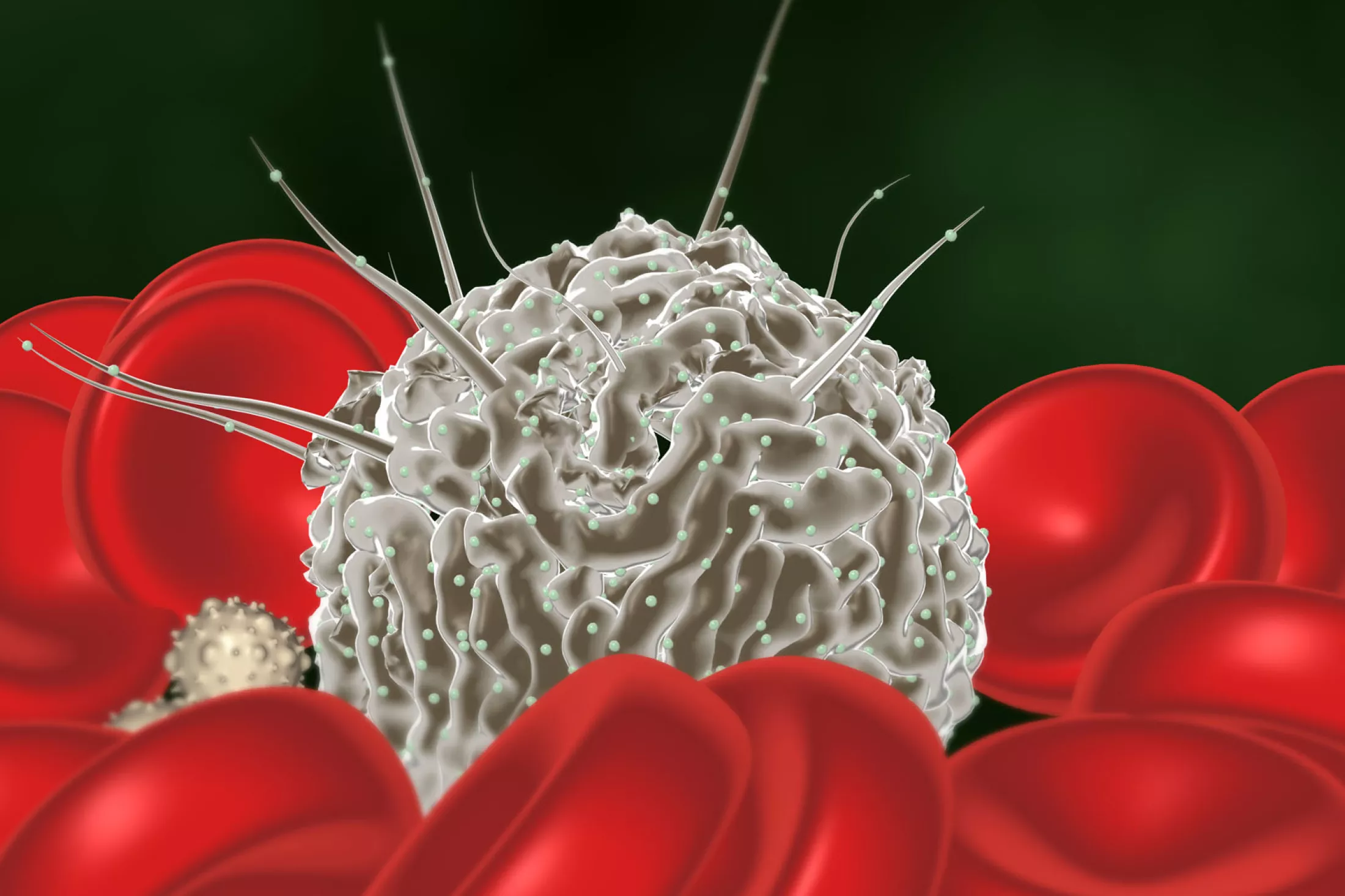 Potential New Approach to Enhancing Stem-Cell Transplants