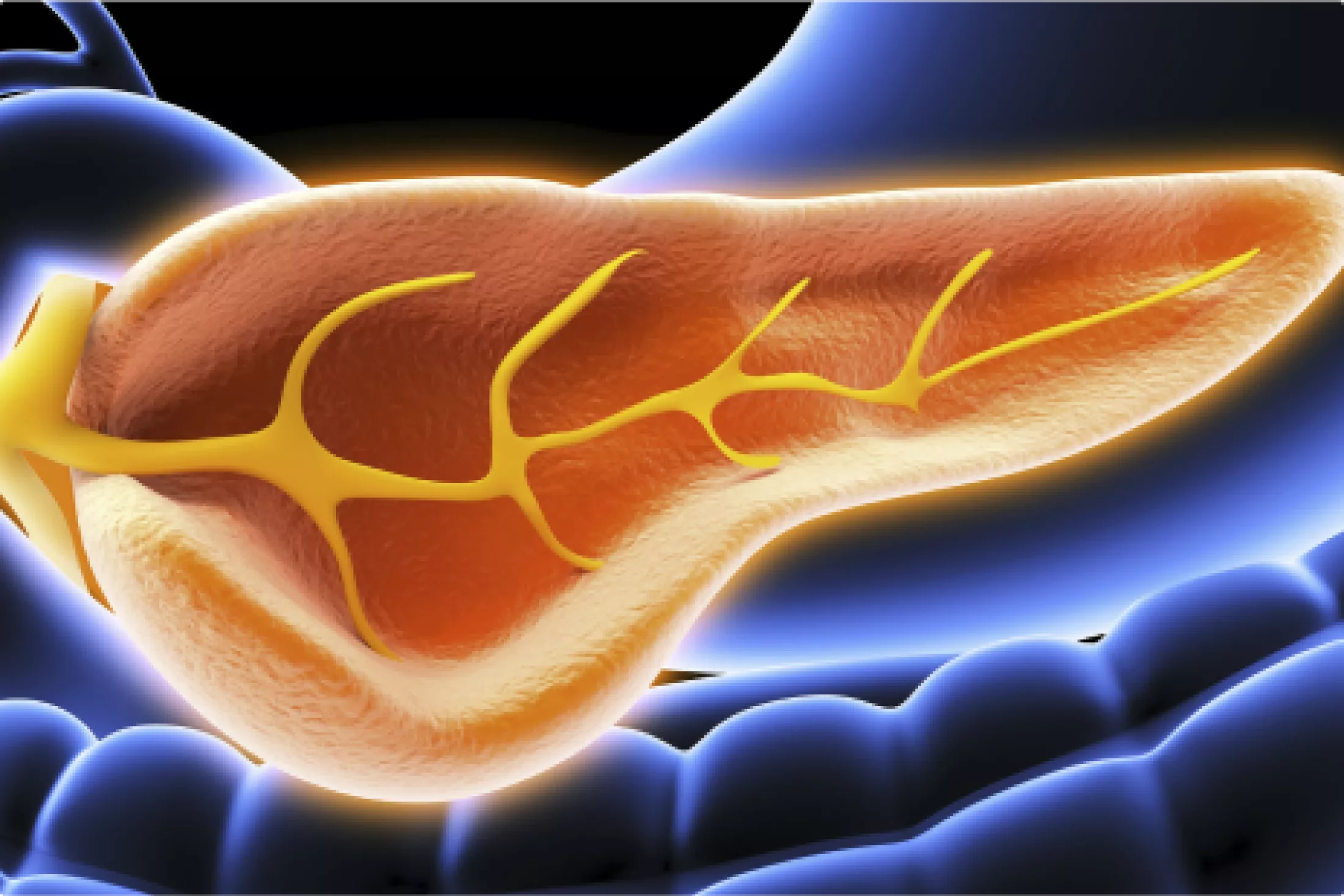 Identifying Peptides
