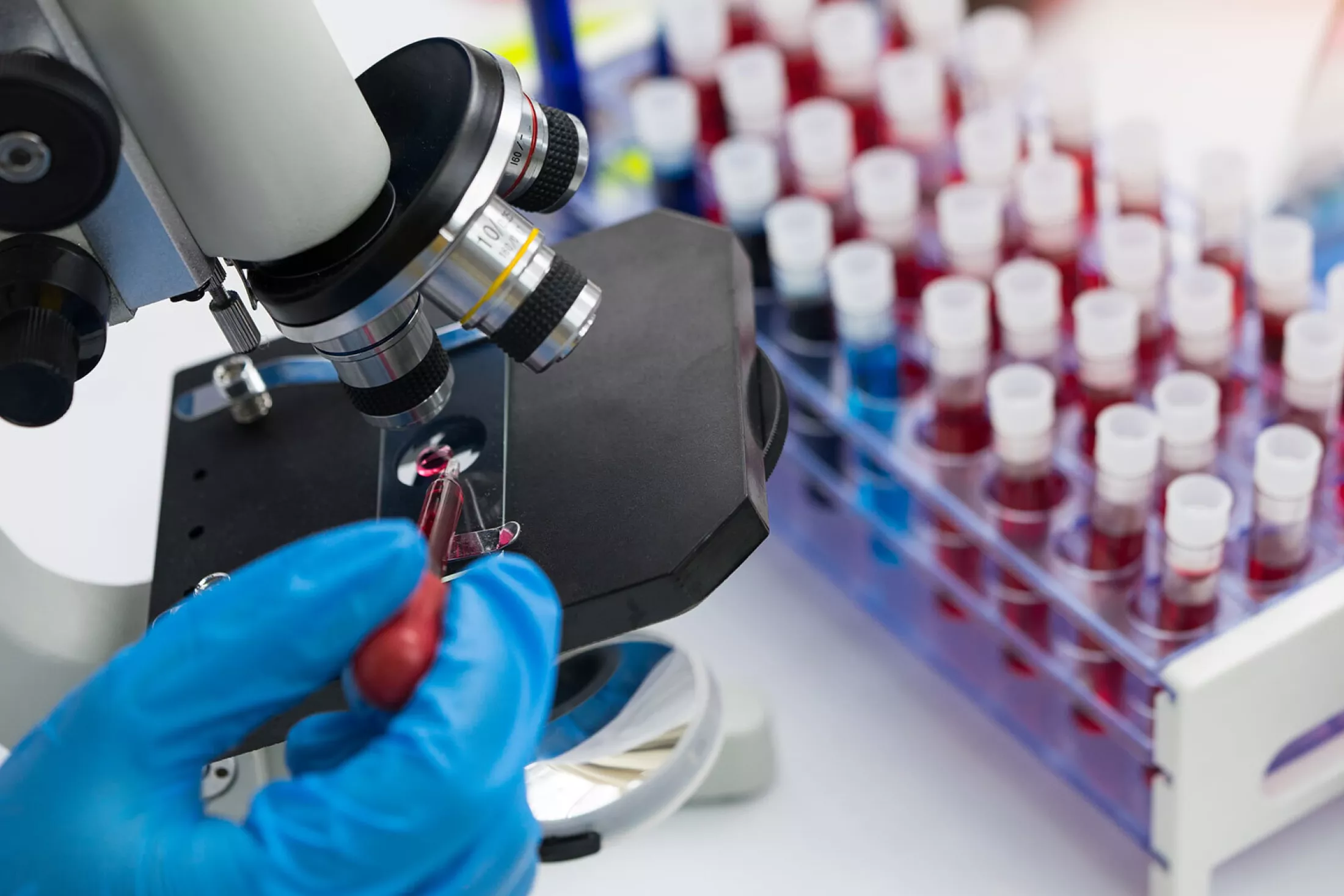 13b97be8a918ac3a495608fdce5c8bea