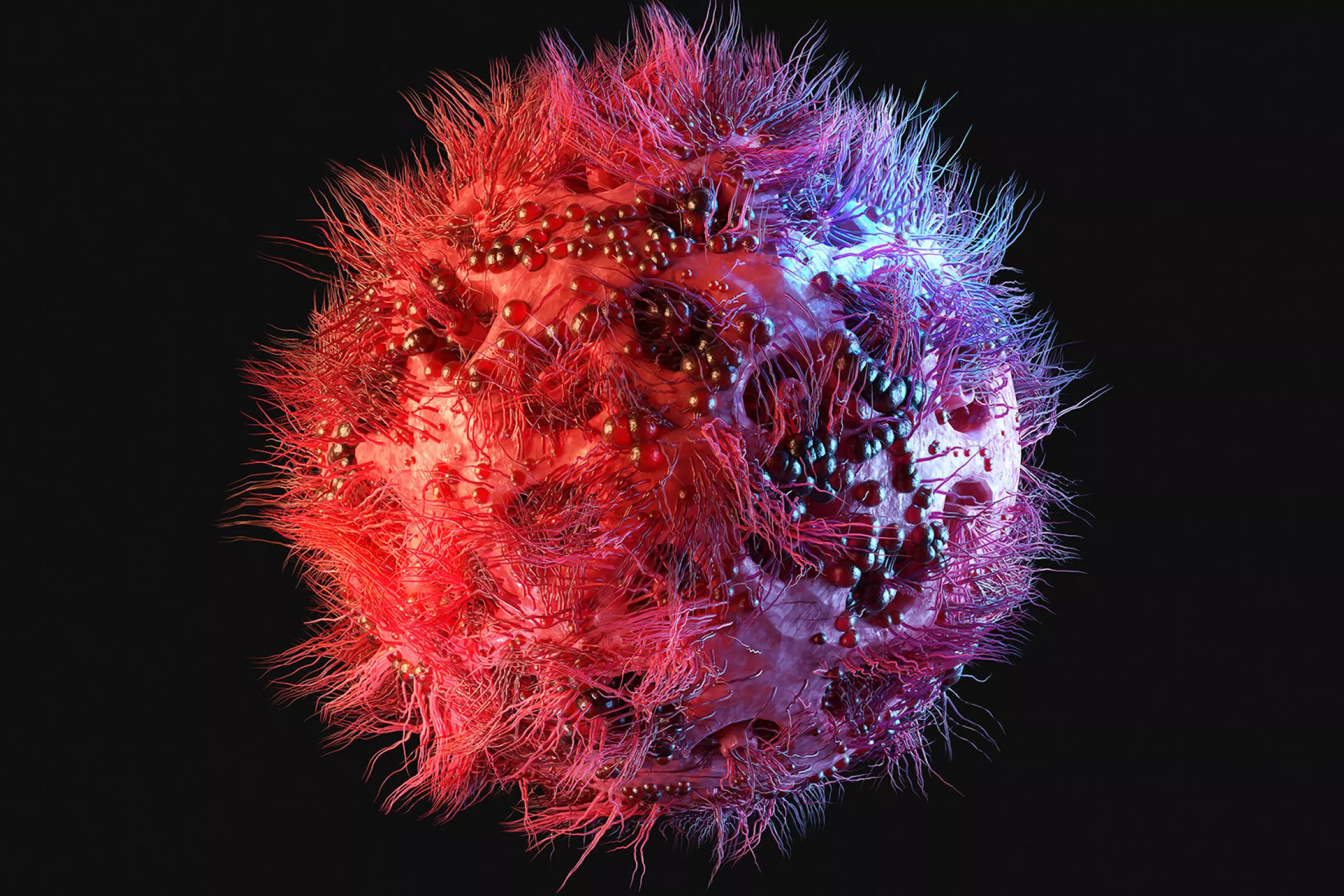 einstein-rockefeller-cunny