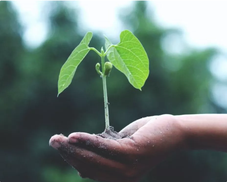 Master's in Bioethics (M.S.)