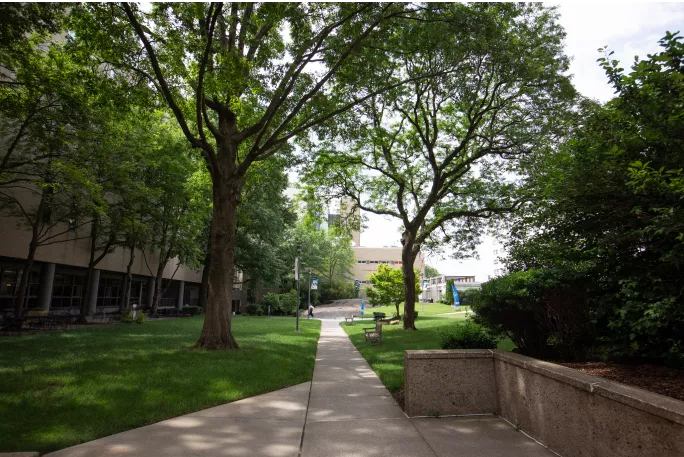 New York Regional Center for Diabetes Translation Research