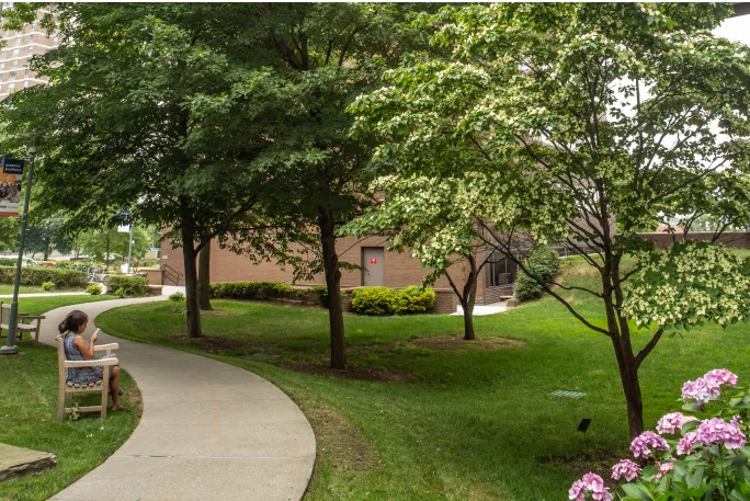 Rose F. Kennedy Intellectual and Developmental Disabilities Research Center