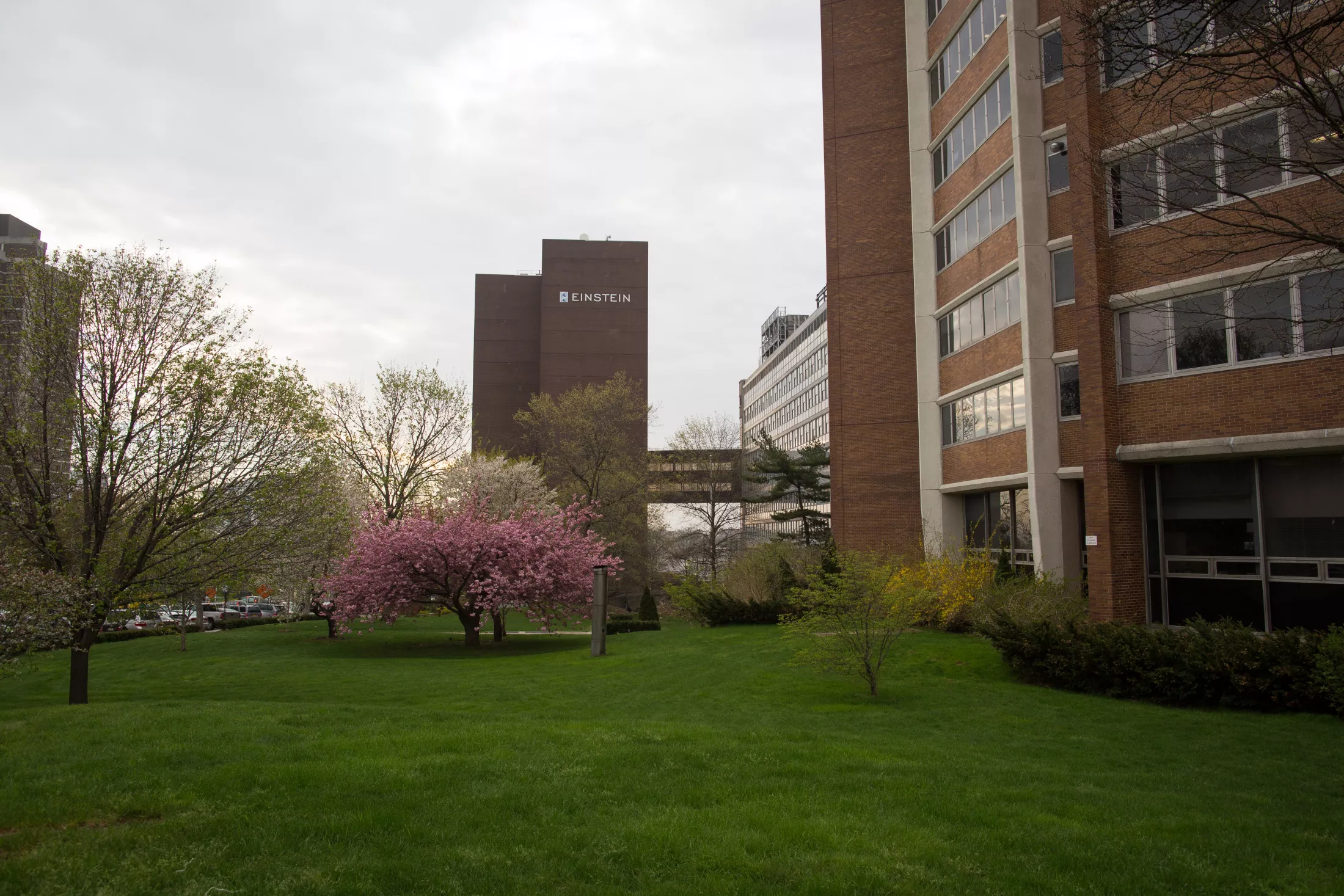 Einstein Campus
