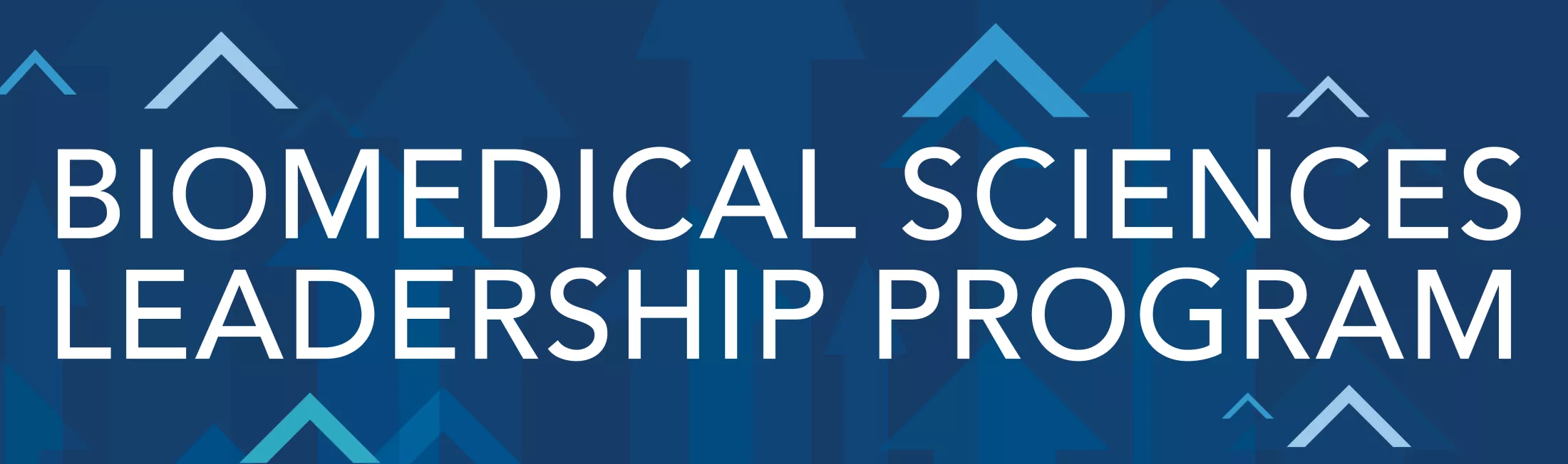 BSL Program Banner