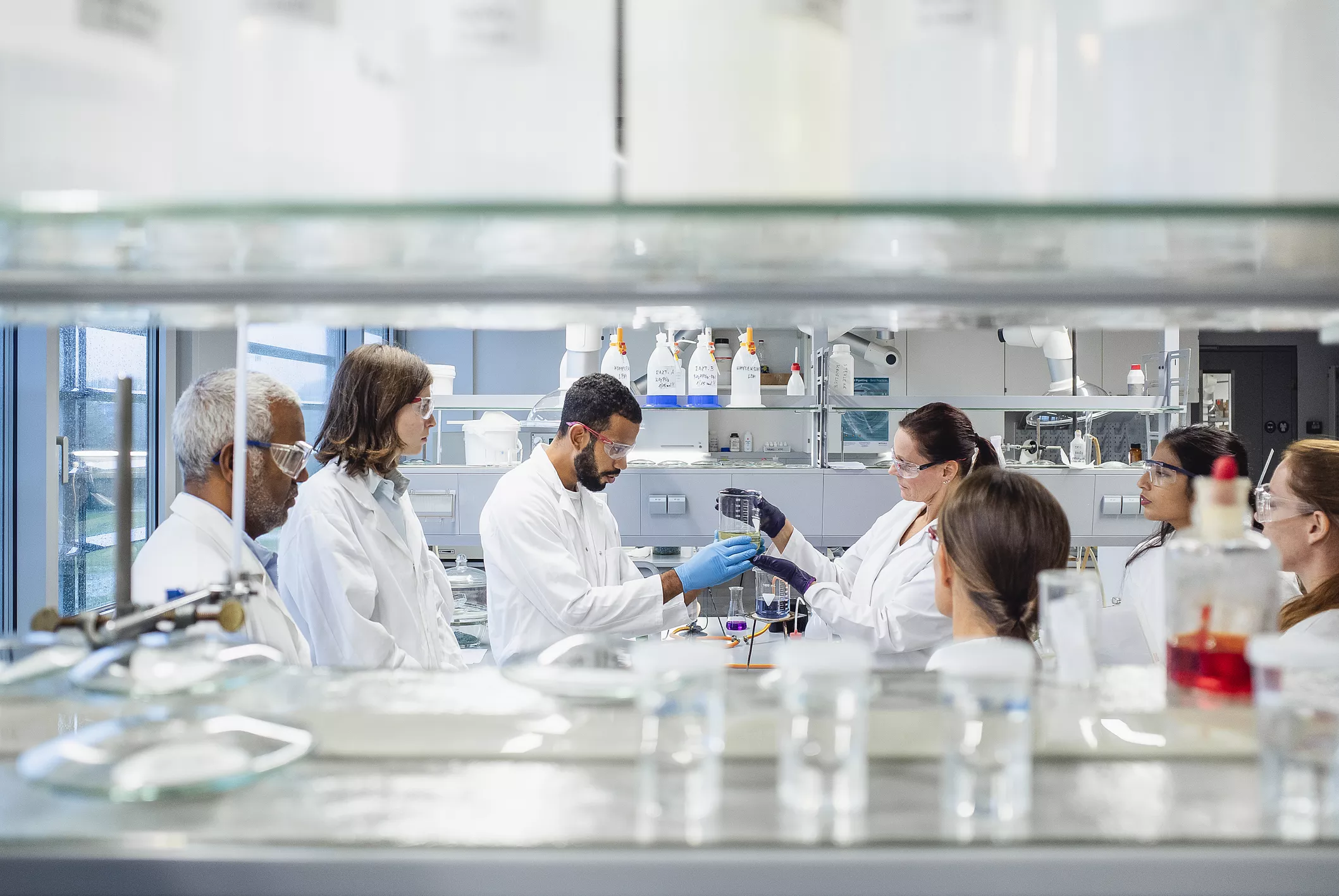 Scientists in lab