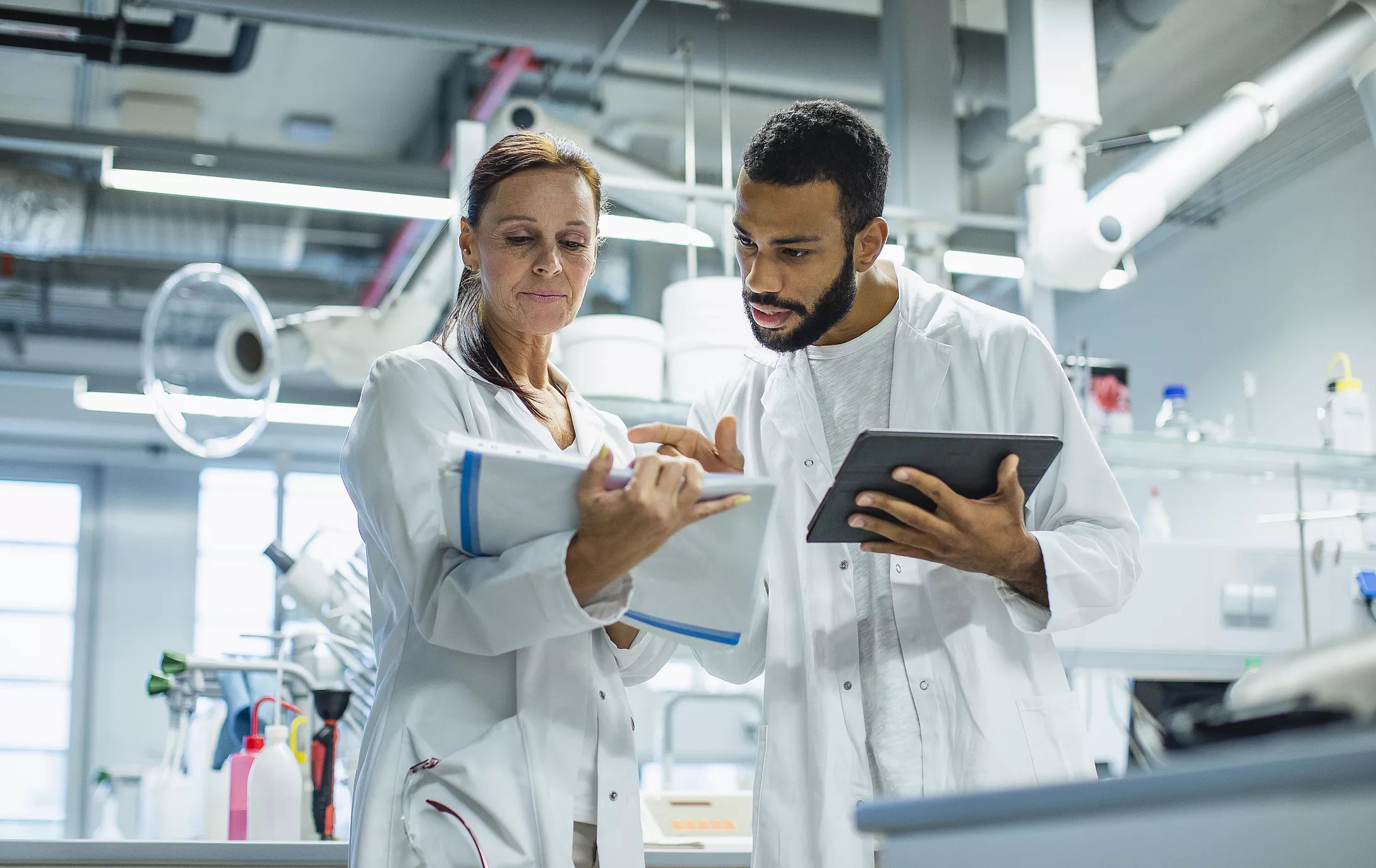 Scientists working in a lab