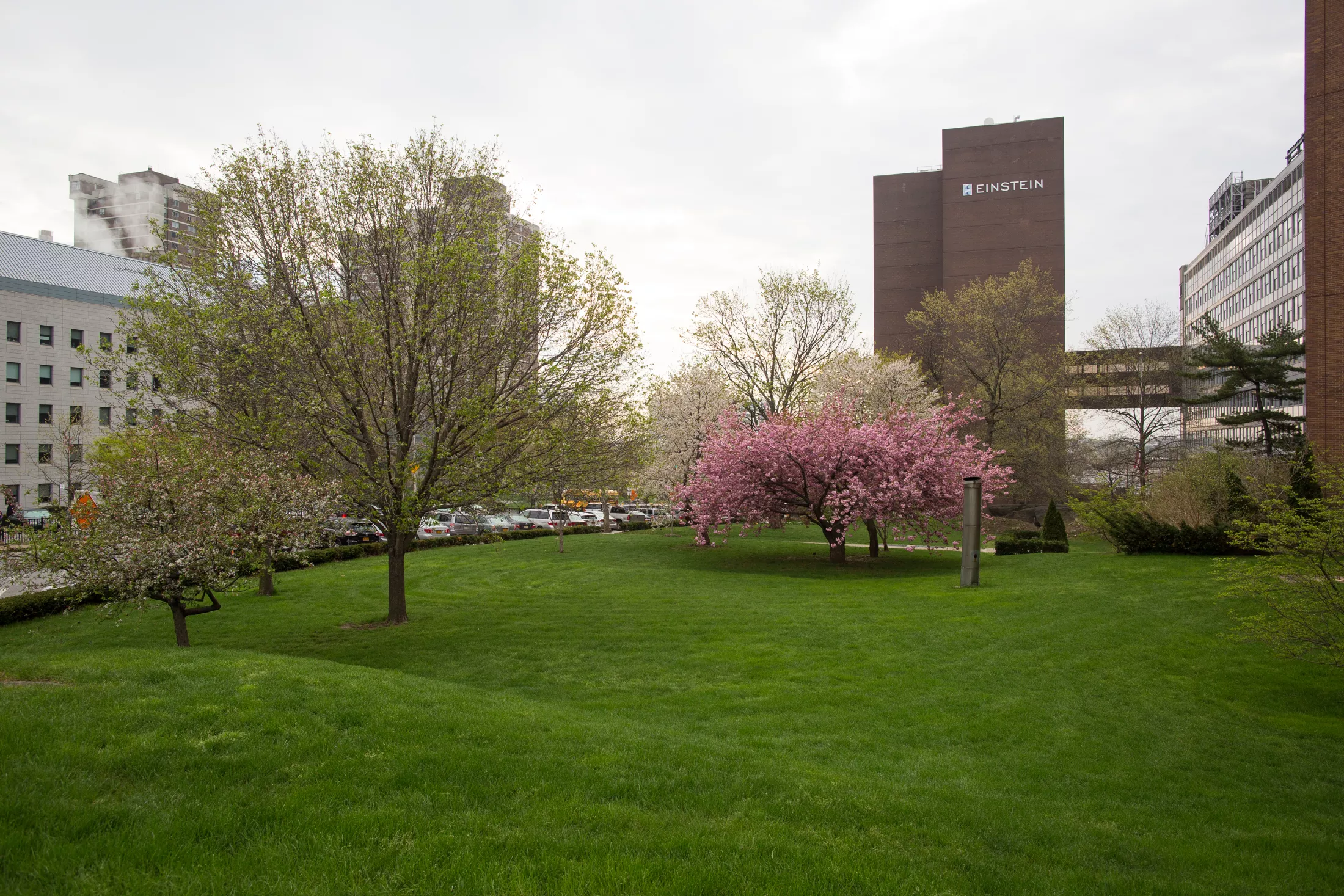 Belfer Building and Front Lawn