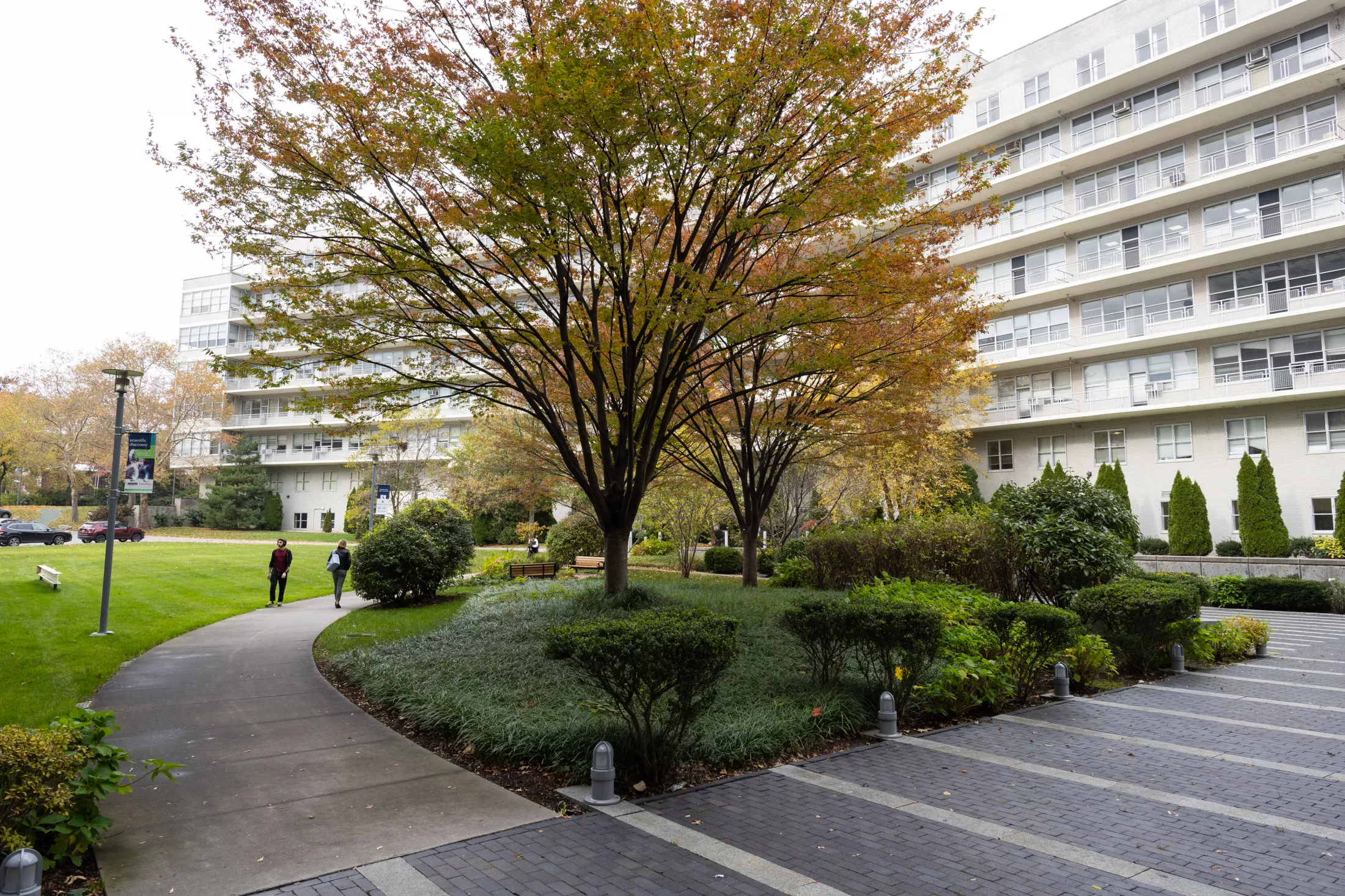 Campus Inner Terrace